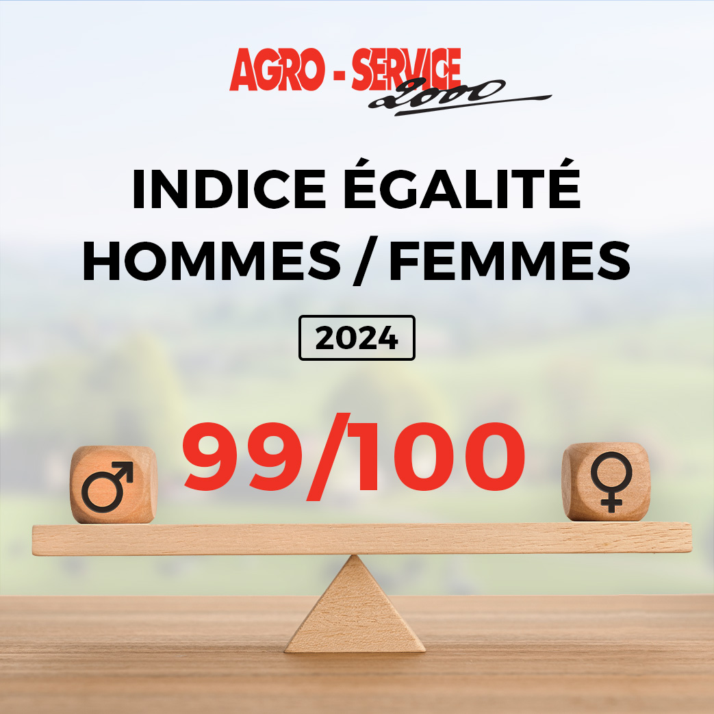 Indice Égalité Professionnelle Femmes Et Hommes 2024