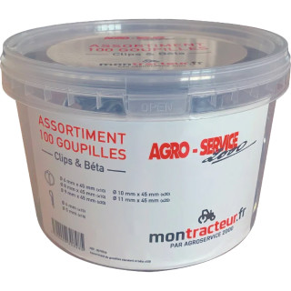 Assortiment de 100 goupilles BEPCO