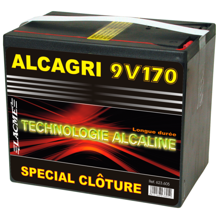 pile alcaline 9V 170AH