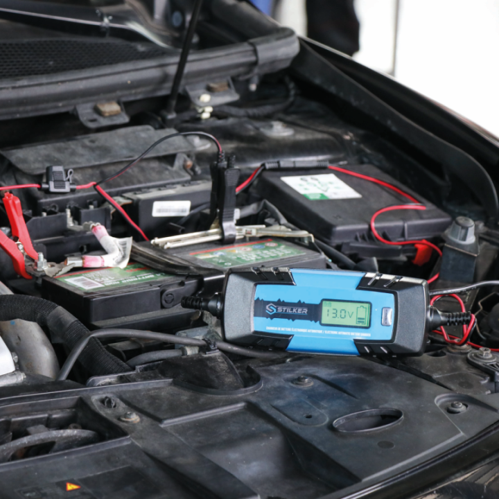 chargeur de batterie automatique 6/12V