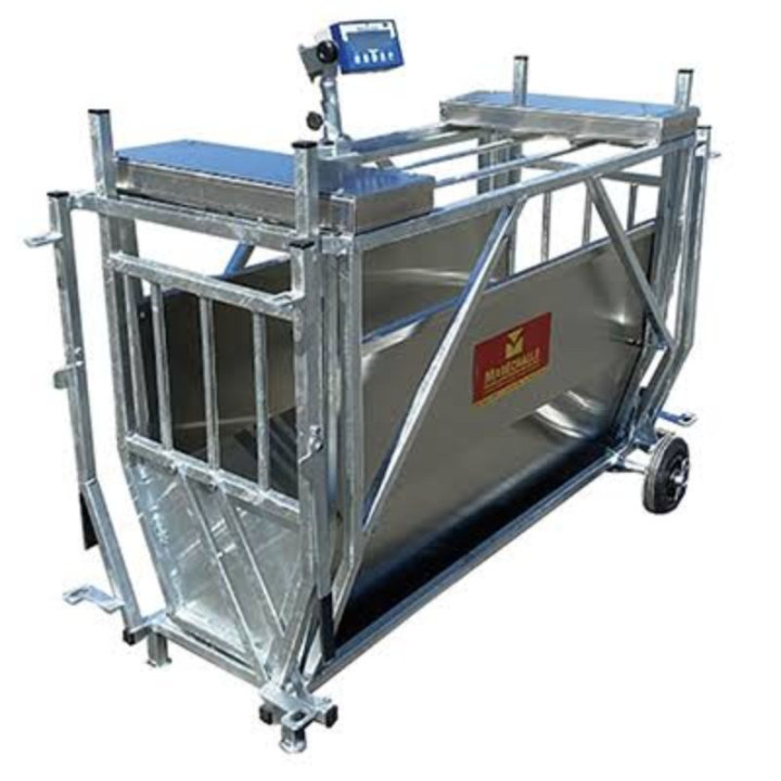 cage de pesage pm 110 pour agneaux