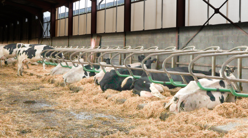 Aménagement & ambiance des bâtiments