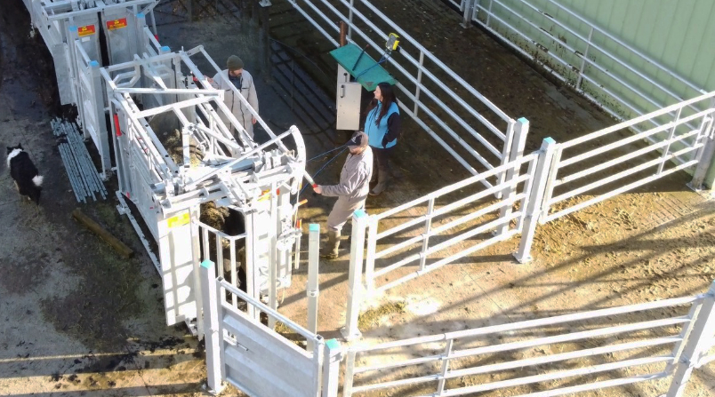 Sécurité & contention