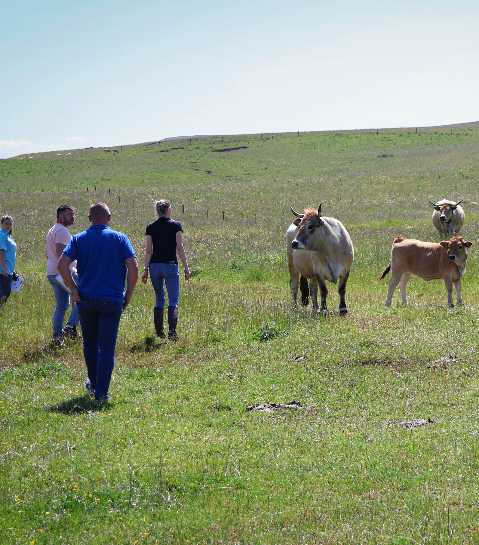 Intervention sur le terrain