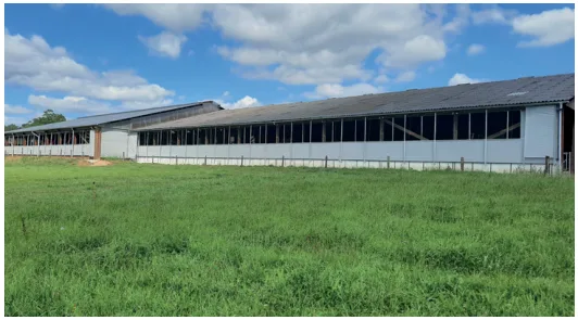 Ventilation naturelle : rideaux de ventilation