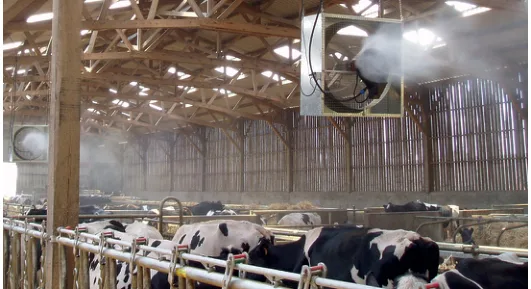 Ventilation dynamique : ventilateurs - brumisateurs