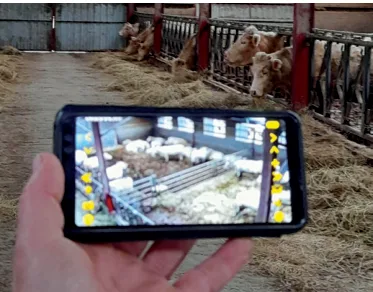 Caméras de surveillance