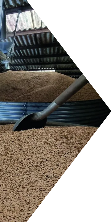 Stockage et manutention du grain à la ferme
