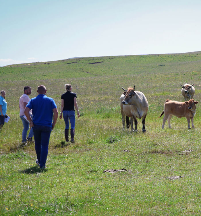 Intervention sur le terrain