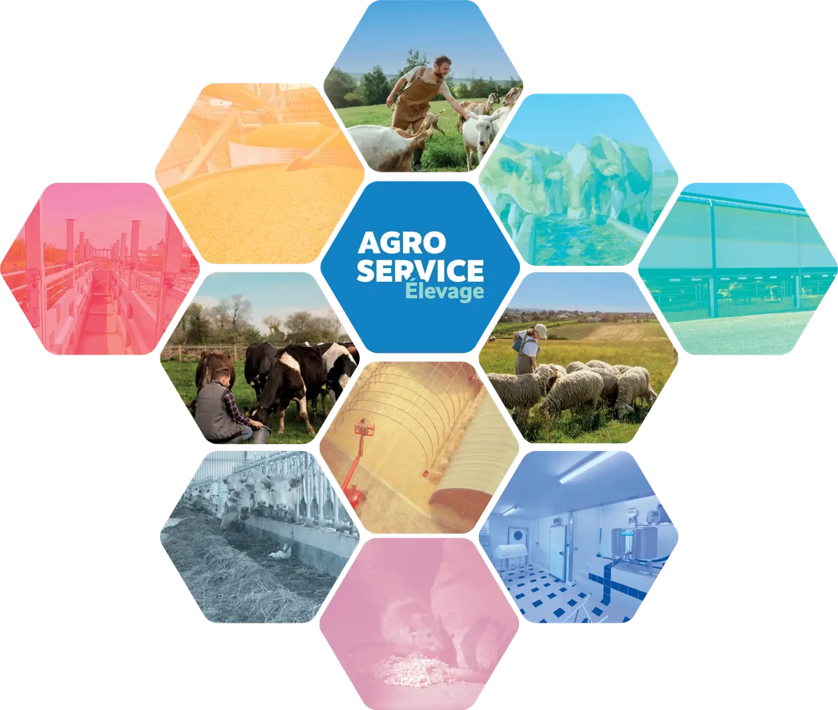 Mosaïque des huit domaines d’expertise d’Agro Service Élevage