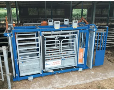 Cages de contention